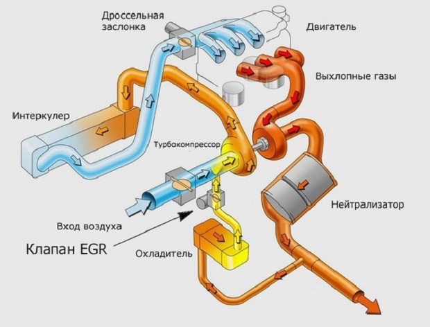 Что такое радиатор егр